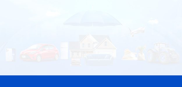 Eureka Insurance Broker